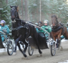 Orecchietti 160204-6